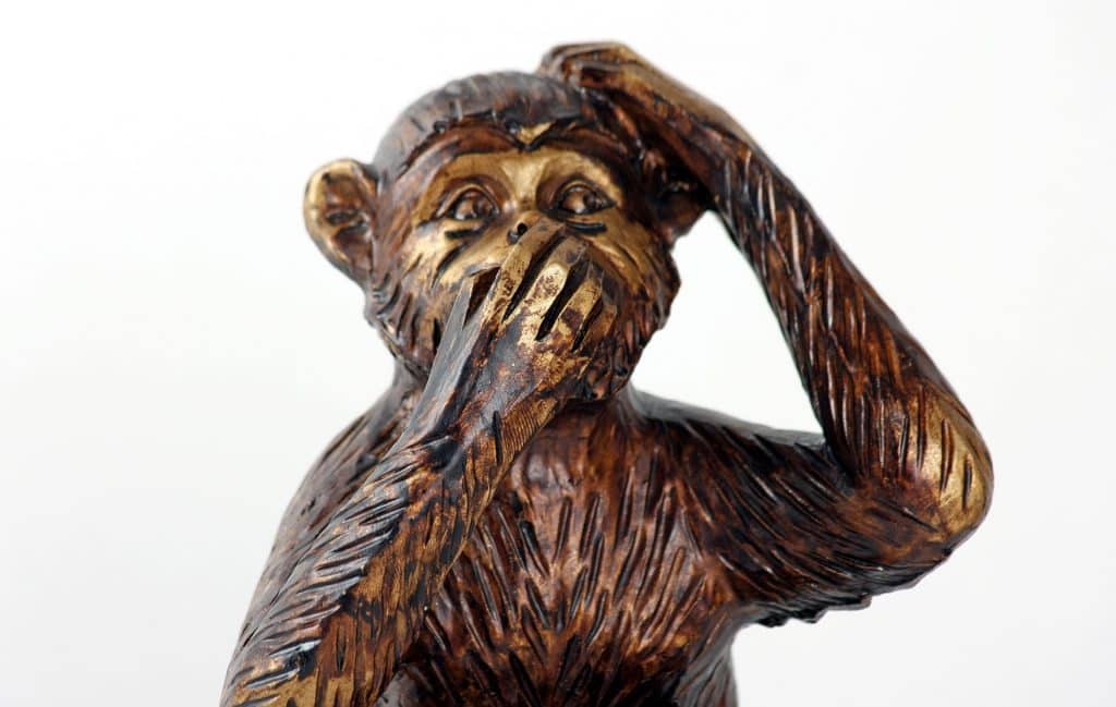 monkey-987886_1920
